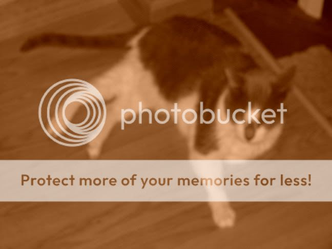 Photobucket - Video and Image Hosting