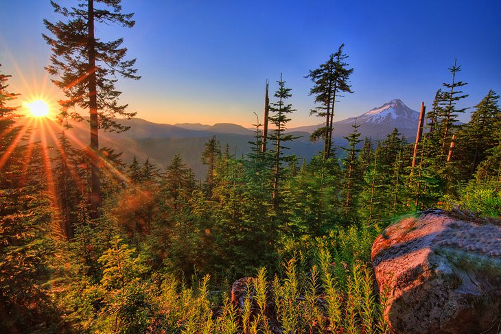 Mount Hood Hikes