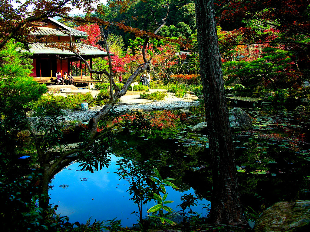 Japanese Gardens