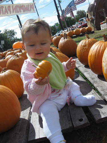 Pumpkin Patch