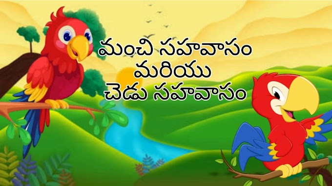 మంచి సహవాసం, చెడు సహవాసం - Good company, bad company - Telugu moral stories