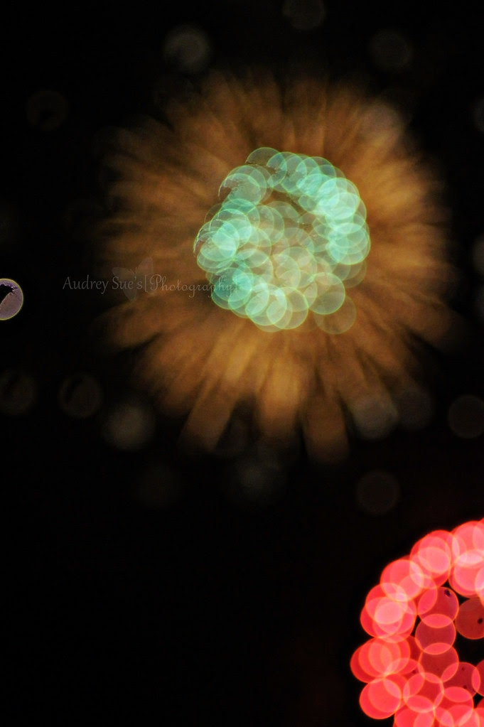fourthofjuly28