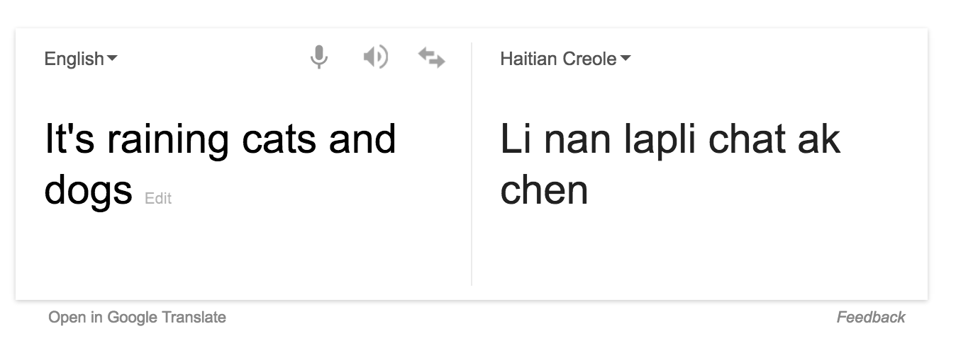 its-raining-cats-and-dogs-google-translation
