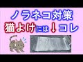 200以上 野良猫 木酢 液 ダイソー 243866