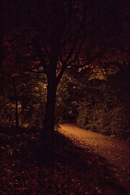 night magic