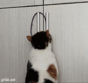 Friday Gifdump