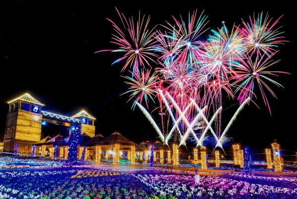 ぐんまフラワーパークがイルミネーション開催中 11月24日は花火も 旬刊旅行新聞 株式会社旅行新聞新社