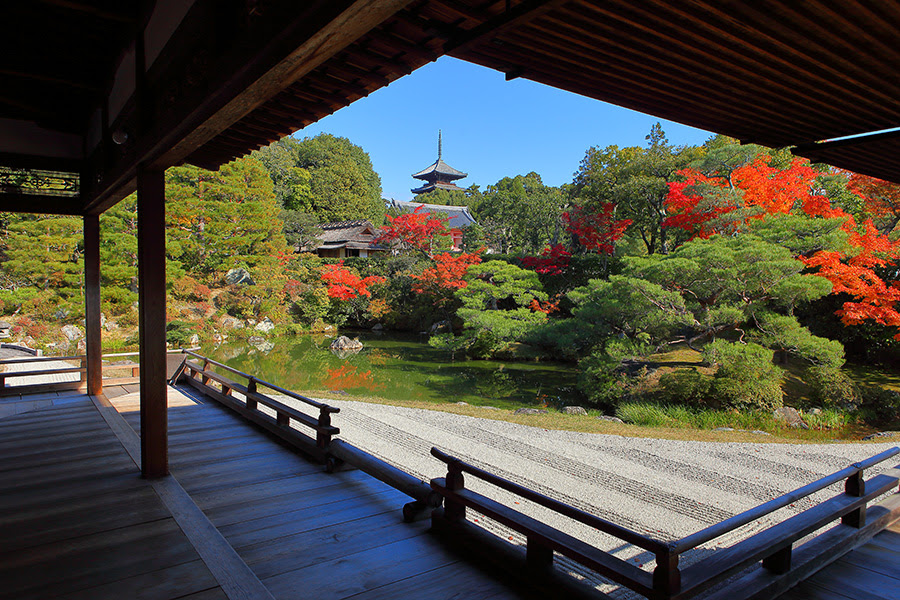 仁和寺 紅葉