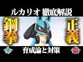 √ダウンロード ポケモン bw ルカリオ 進化 275145-ポケ���ン bw ルカリオ 進化