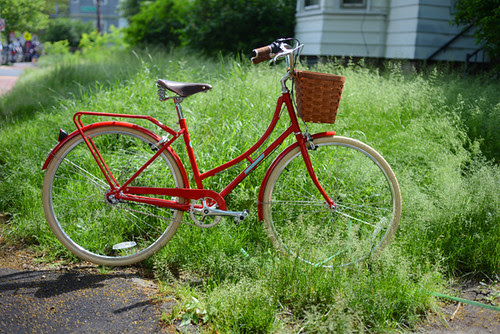 Papillionaire Sommer