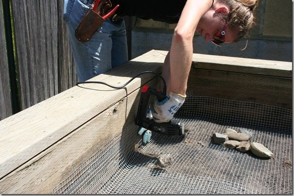 on lining your raised bed with hardware cloth to keep out moles    hardware cloth to keep moles out