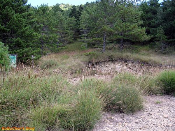 DSC 118.jpg