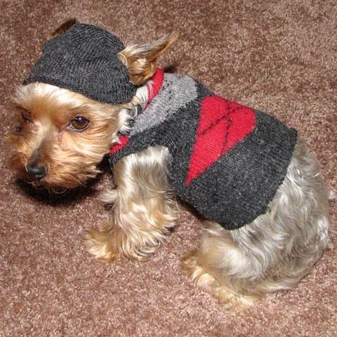 犬の服と帽子の作り方 靴下のリサイクル方法 Howサーチ