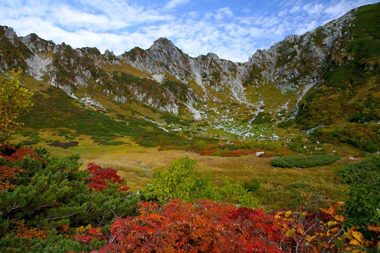 紅葉壁紙 千畳敷カール 四季の山野草
