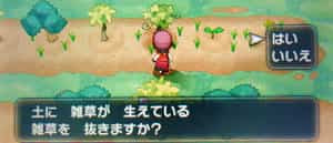 突然変異一覧 きのみ畑攻略 ポケモンxy攻略de Com