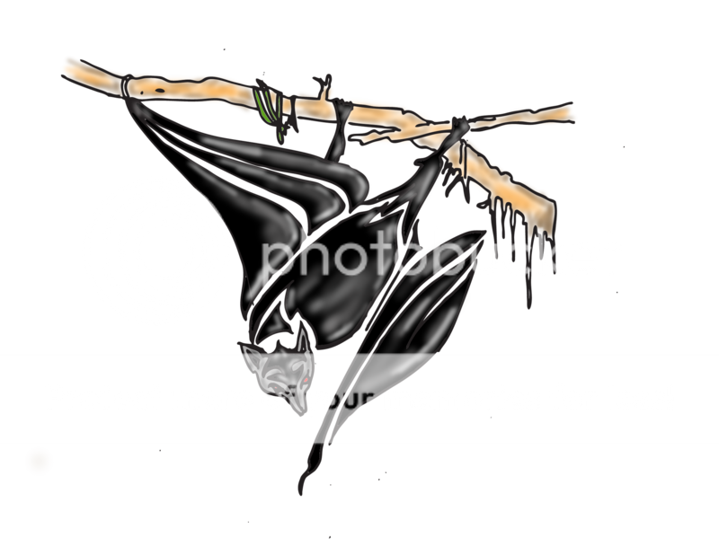  Size:400x312 - 126k: Bat Tattoos