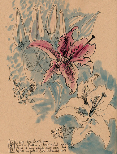 December 2012: Daily Flowers