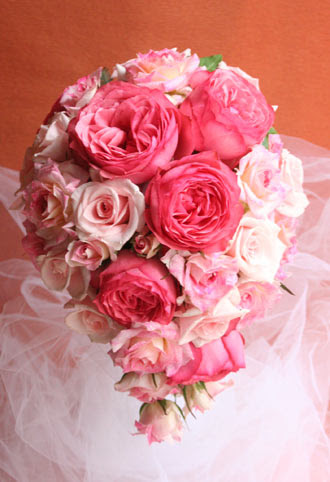 ここからダウンロード 待ち受け ピンク の 薔薇 画像
