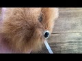 [10000印刷√] 羊毛 フェルト 犬 ポメラニアン 作り方 332905