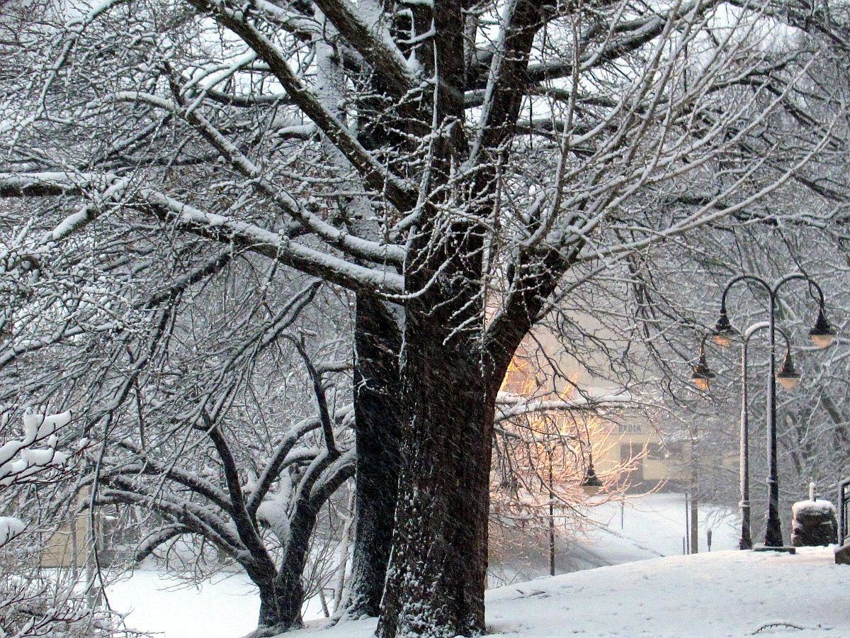 Snow Kidding photo IMG_5319a_zps96d1b7ec.jpg