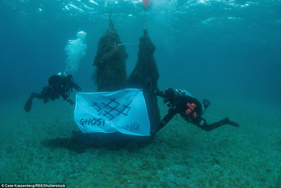 The Ghost Fishing Foundation has been collaborating worldwide with various local groups of technical divers and salvage companies to remove lost fishing gear