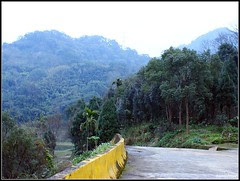 DSC02528