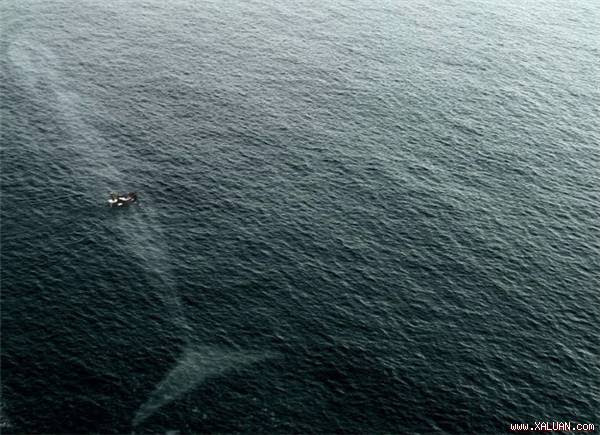 1. Hiểm họa ngầm đang theo sát con tàu này mà nó không mảy may hay biết…