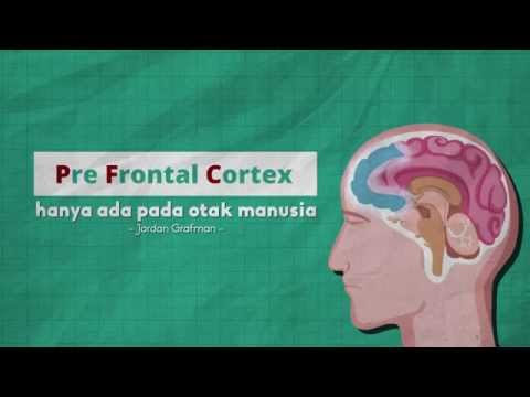 Bahaya Pornografi Pada Anak | Video Artikel 