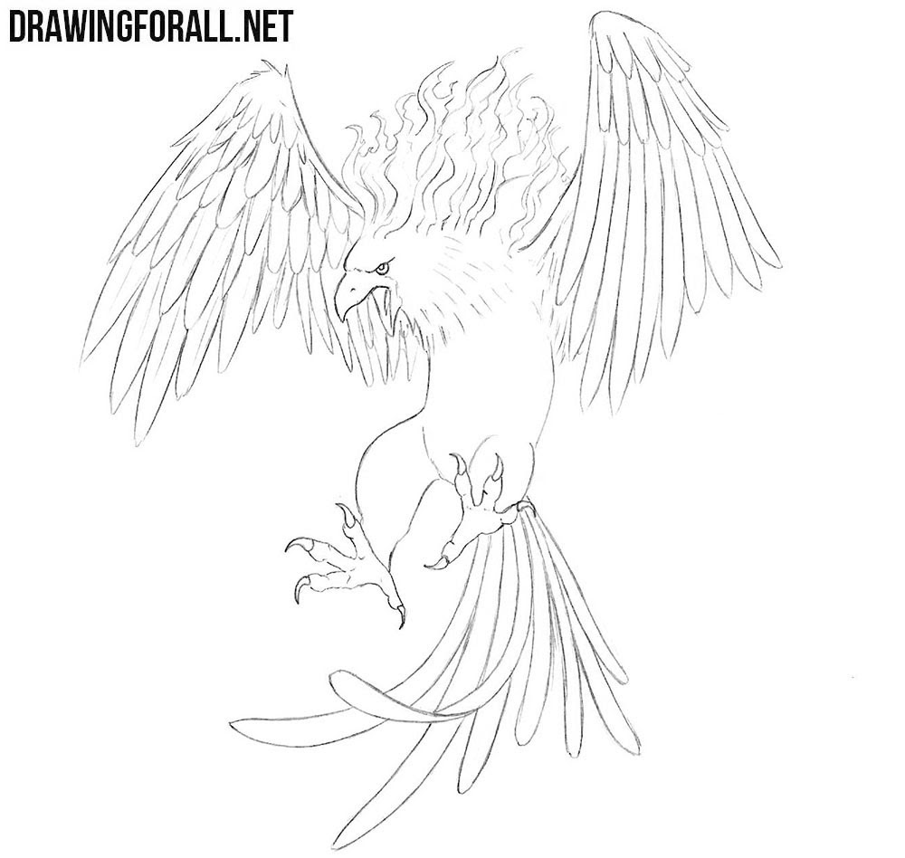 How to Draw a Phoenix
