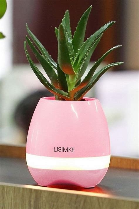 Keep them alive with these easy tips. 18 Stylish Indoor Flower Pots - Affordable Indoor Pots for