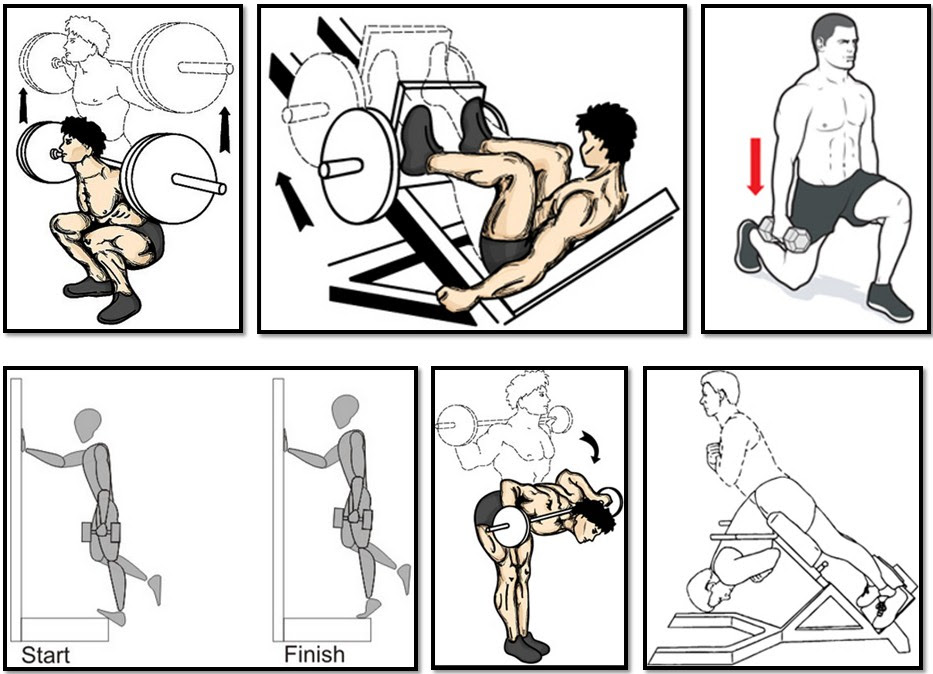 The training program for the ectomorph, exercise leg spin