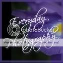 Everyday Photography