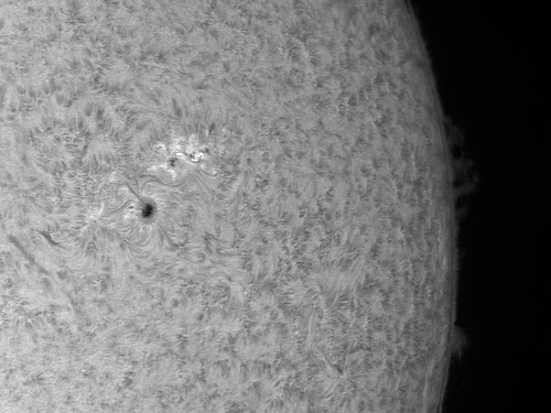 AR11486 by Mark Townley