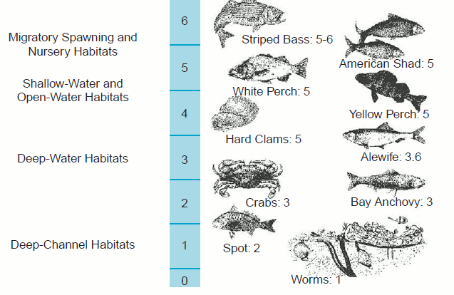 Source: EPA, "Ambient Water Quality Criteria for Dissolved Oxygen, Water 