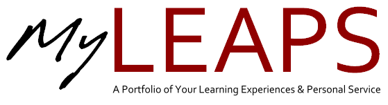 Service learning project reflection paper