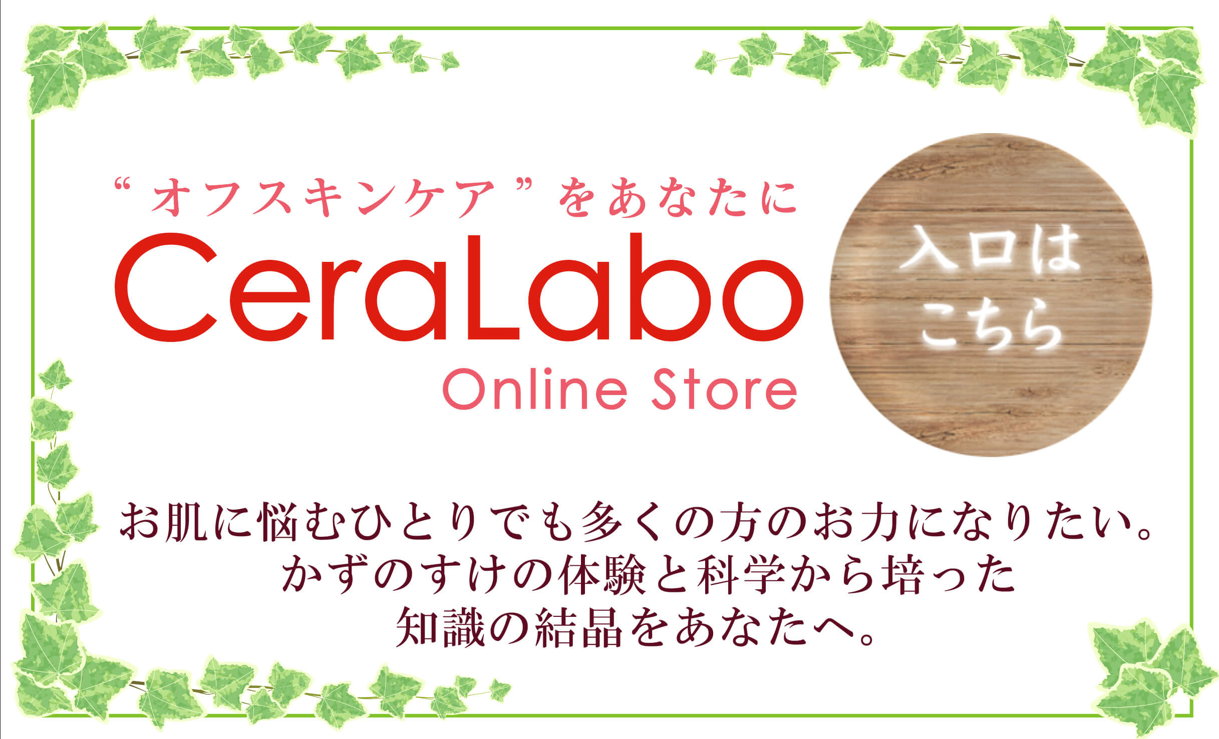 化粧品の成分について かずのすけの美容化学論