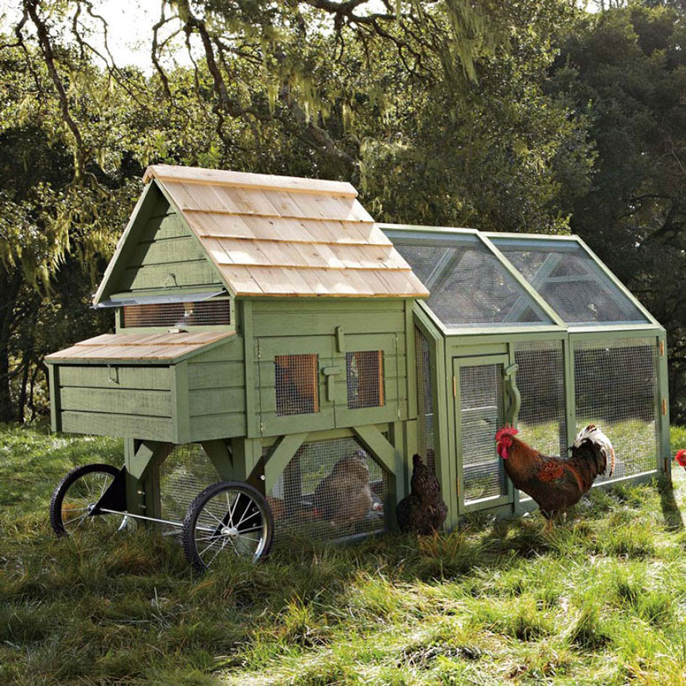 Chicken Coops