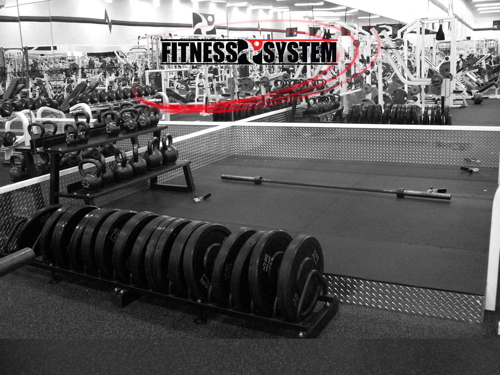 Fitness System Woodland