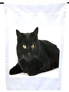Amazon com Rikki Knight Regal Black Cat In With Yellow Amazon com Rikki Knight Regal Black Cat In With Yellow