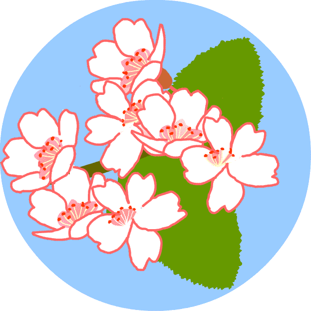 桜 サクラ イラスト 無料