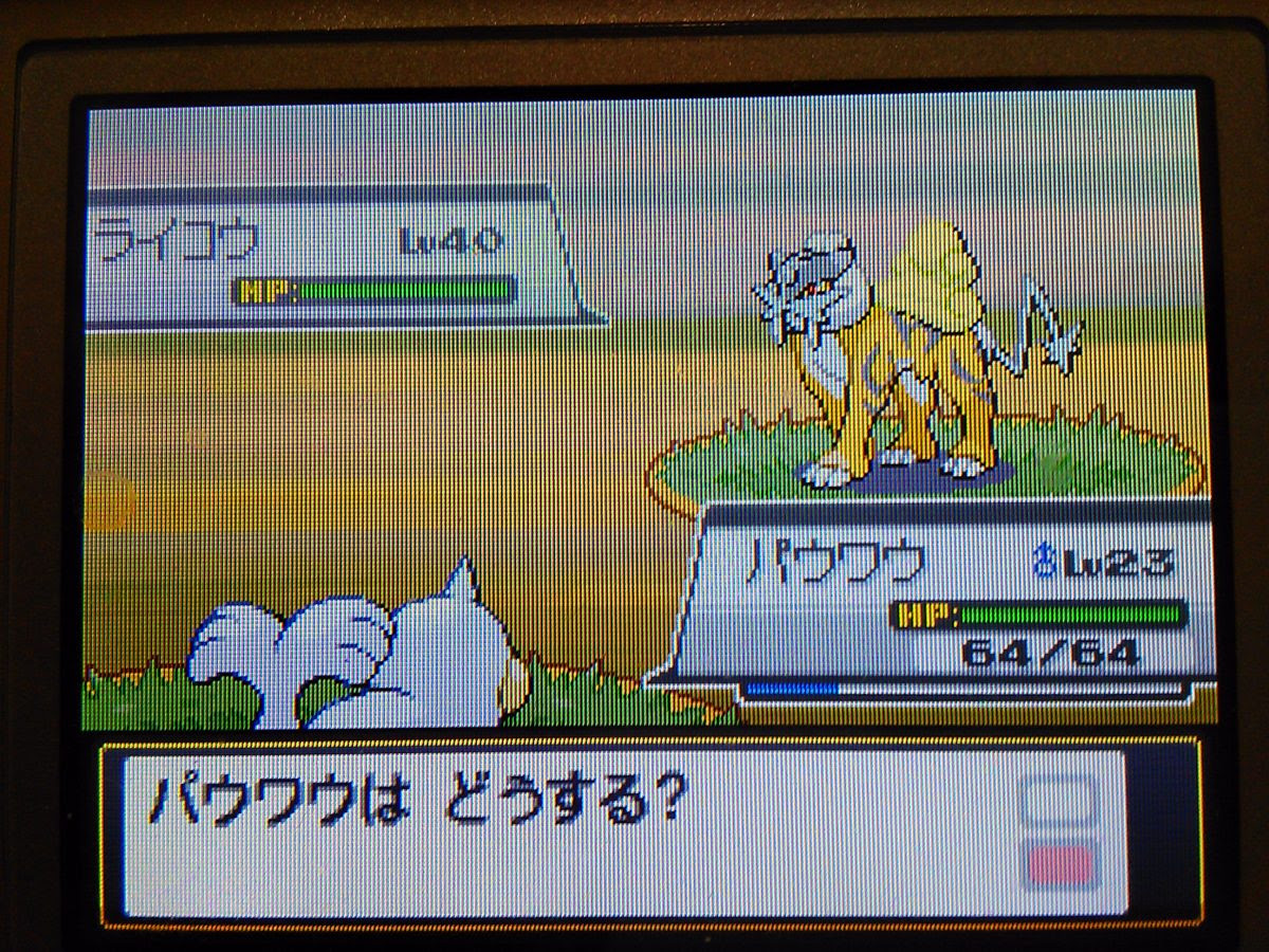 Hgss 乱数調整 徘徊乱数 臆病 色違い Id ライコウ A0 0 続 大人でもポケモン好き