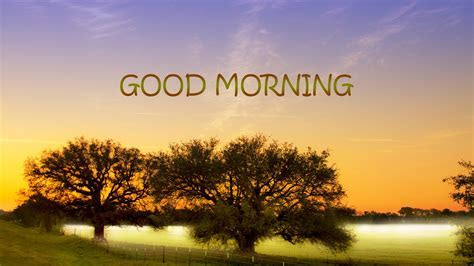 Best Good Morning HD Wallpapers ? HD Wallpapers Images  