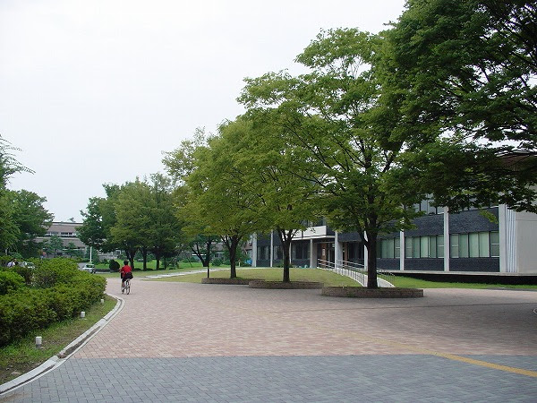 群馬大学医学部 国立医学部受験情報