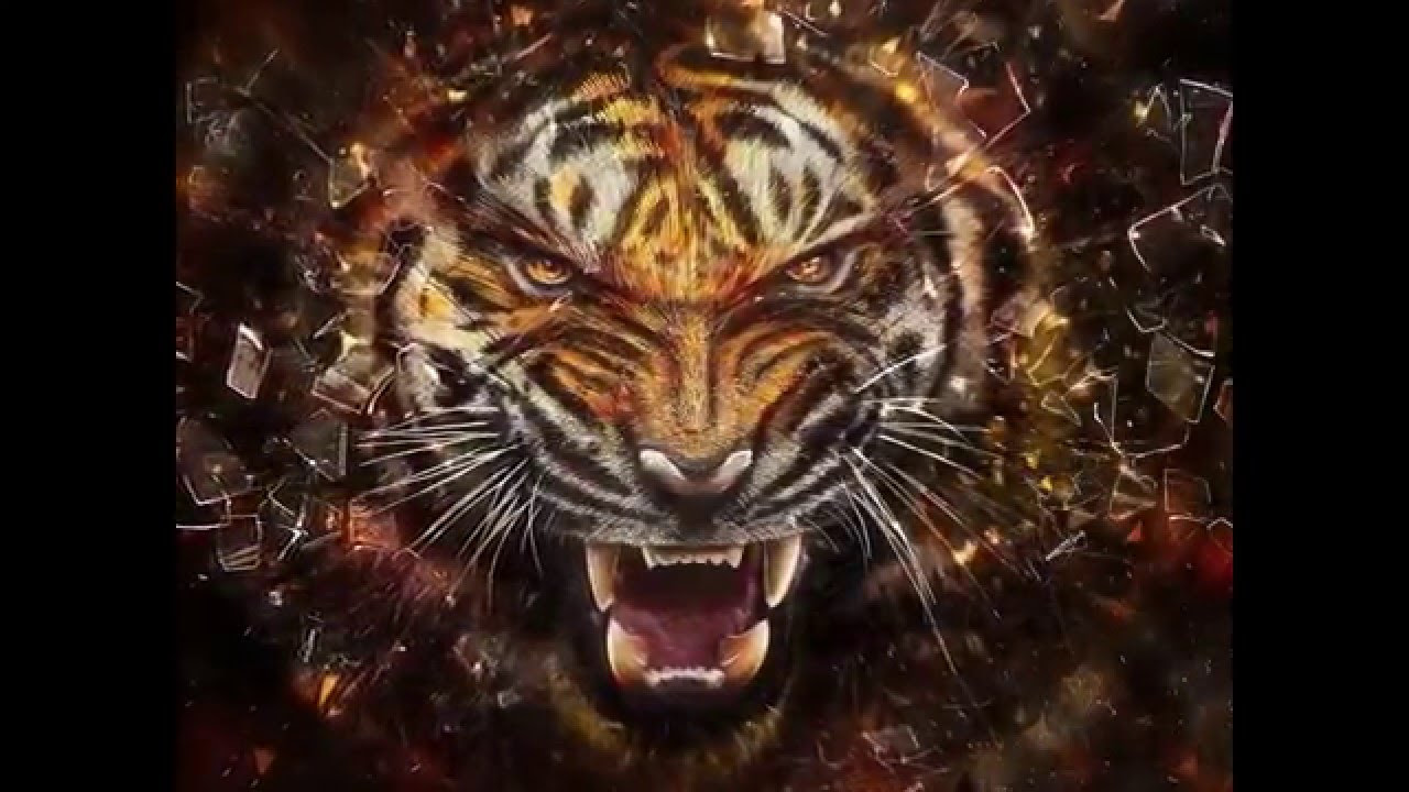 Harga Sepeda  Motor  Honda Tiger Terbaru  2014 YouTube