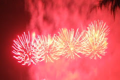 Brockham Bonfire 2007 - #11