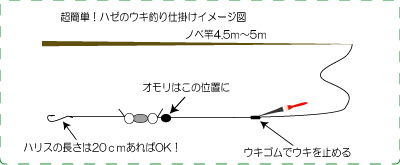 ハゼのウキ釣り Fishing Infomation