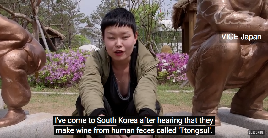 Vice Japan's Korean Poo Upsets Koreans