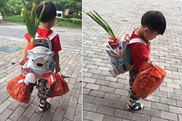超萌小男孩開學第一天竟背著 兩根蔥 去學校 原來背後原因是 媽媽太可愛啦 人生向前走