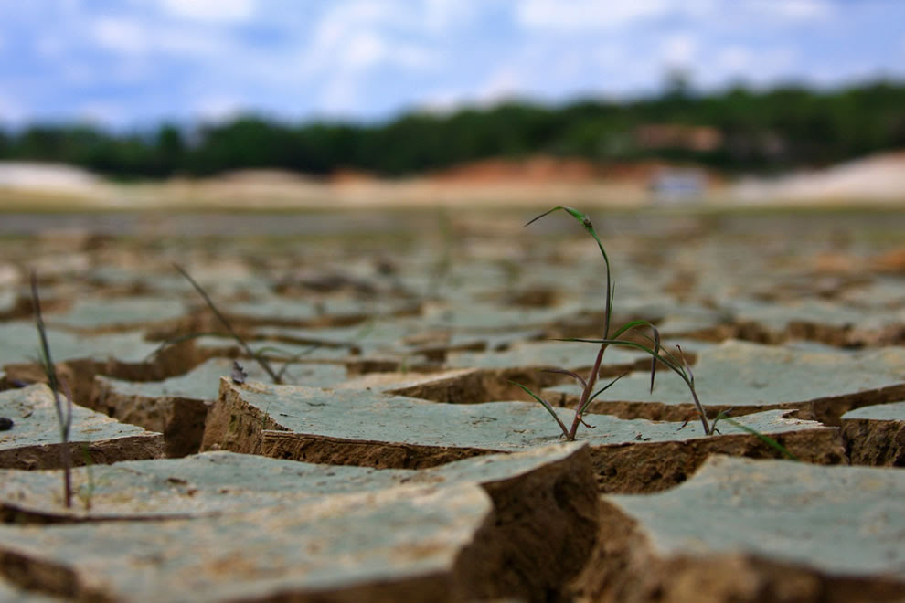 Strong drought in the Amazon rainforest