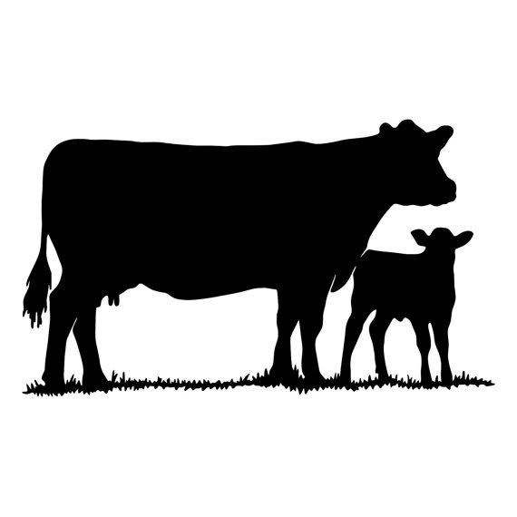 Download Cow Calf Silhouette At Getdrawings Free Download